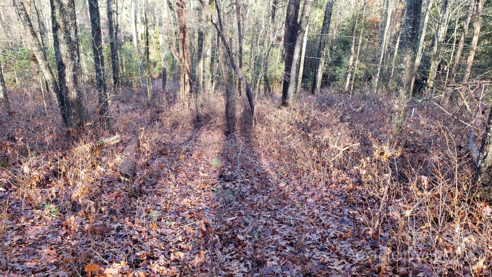 Tbd Cedar Lane Brevard NC 28712