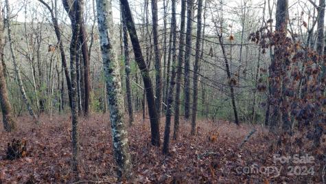 Tbd Cedar Lane Brevard NC 28712