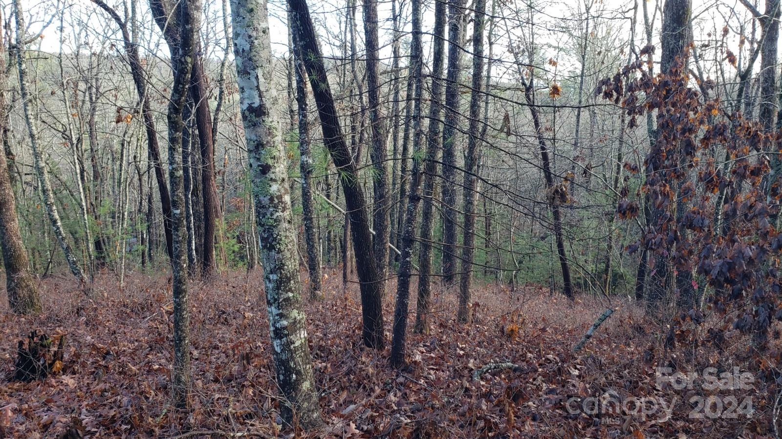 Tbd Cedar Lane Brevard NC 28712