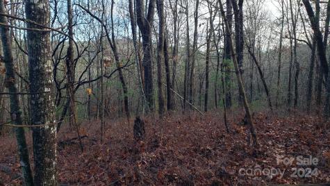 Tbd Cedar Lane Brevard NC 28712