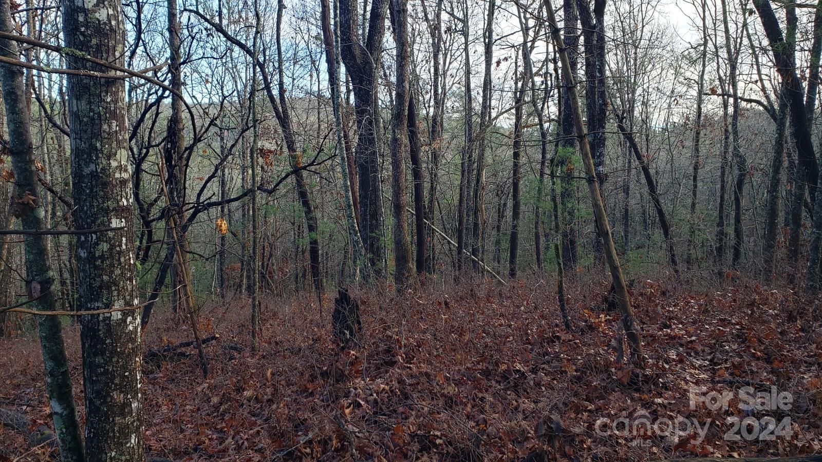 Tbd Cedar Lane Brevard NC 28712