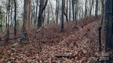 Tbd Cedar Lane Brevard NC 28712