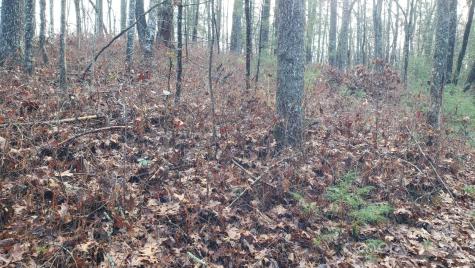 Tbd Cedar Lane Brevard NC 28712