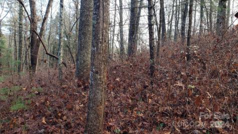 Tbd Cedar Lane Brevard NC 28712