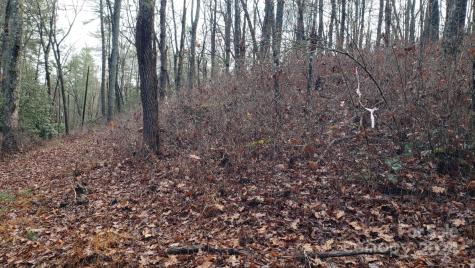 Tbd Cedar Lane Brevard NC 28712