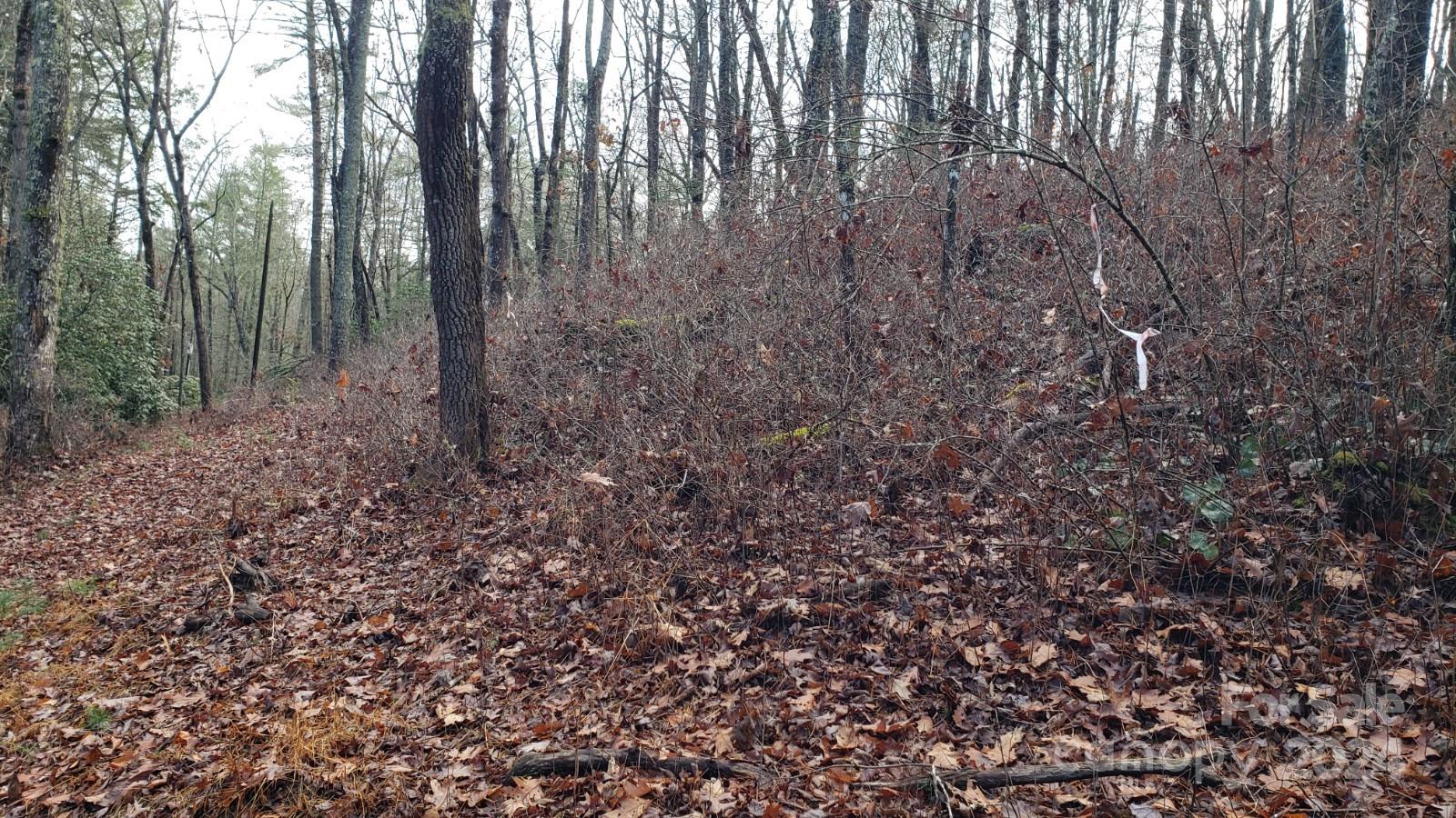 Tbd Cedar Lane Brevard NC 28712
