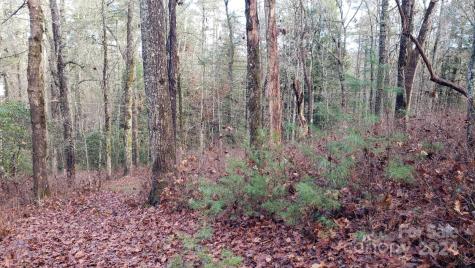 Tbd Cedar Lane Brevard NC 28712