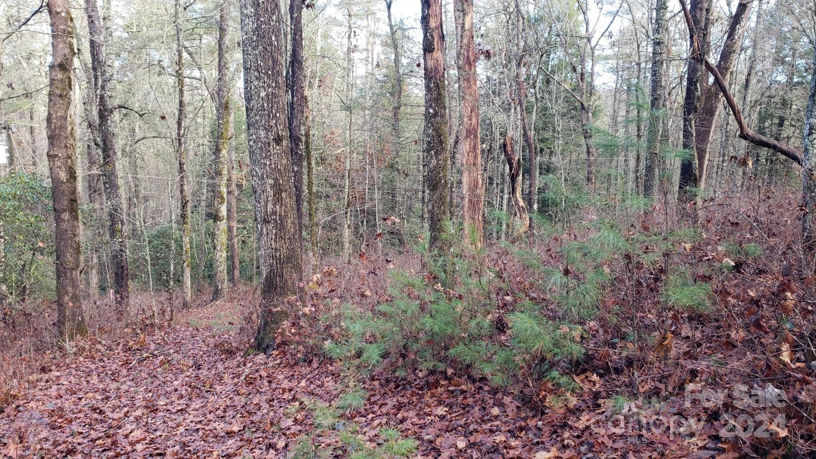 Tbd Cedar Lane Brevard NC 28712