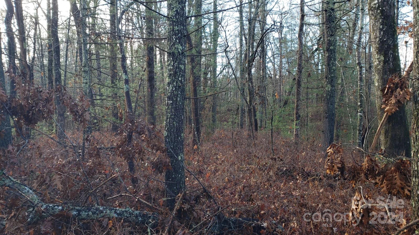 Tbd Cedar Lane Brevard NC 28712