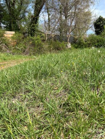 99999 Lamb Avenue Asheville NC 28806