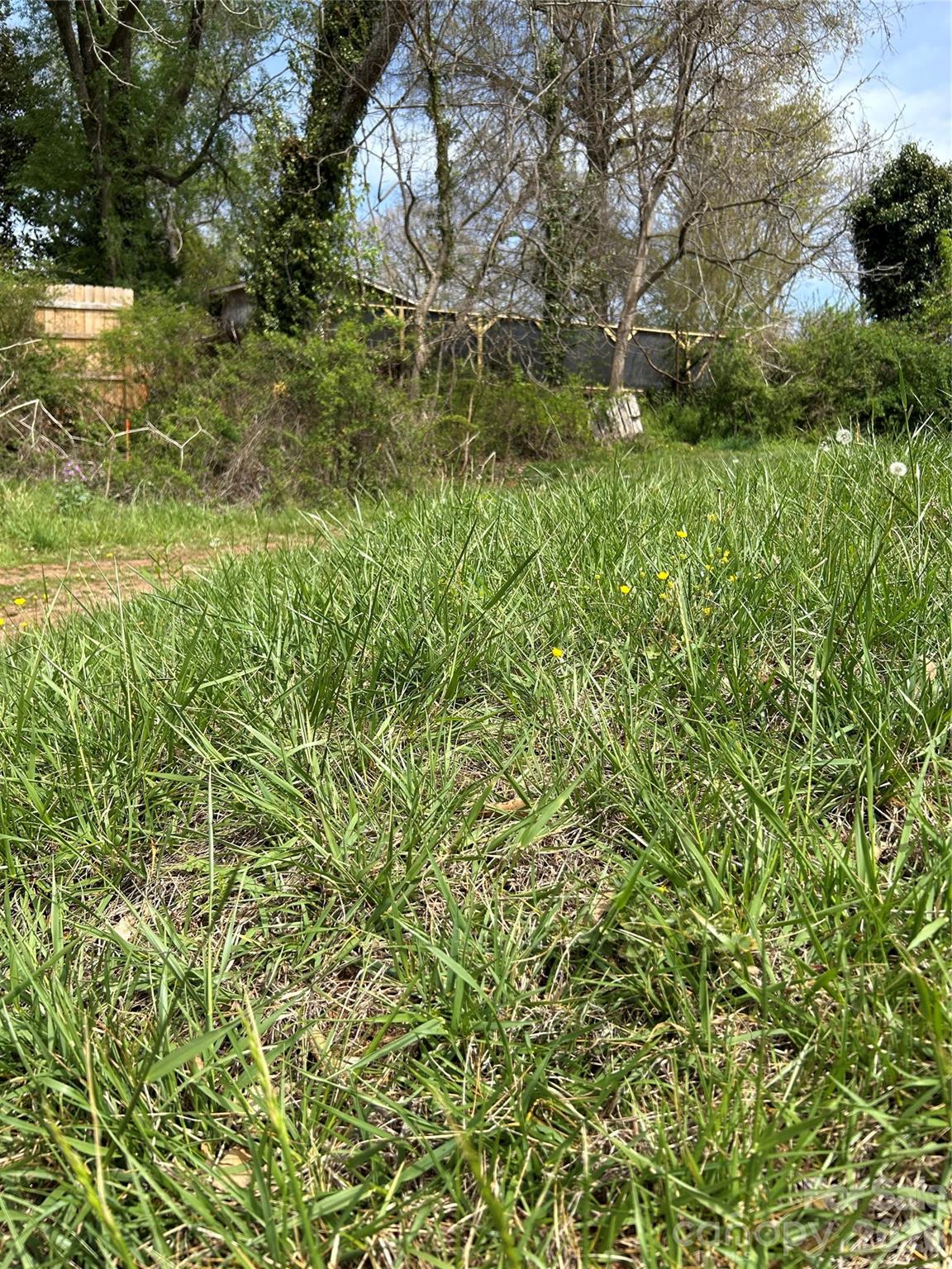 99999 Lamb Avenue Asheville NC 28806