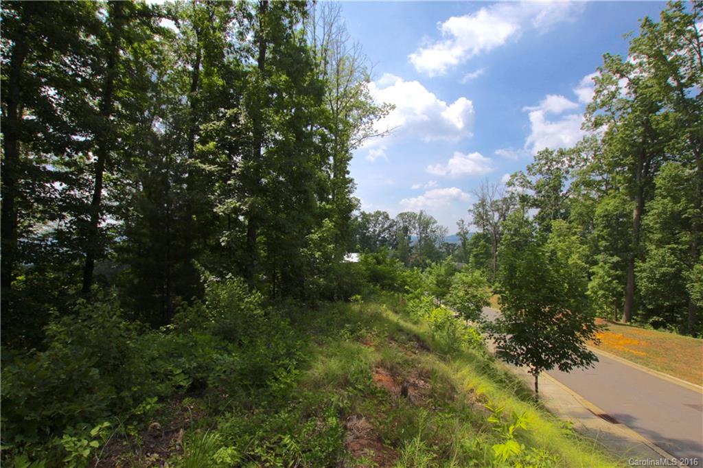 5 Samuel Ashe Drive Asheville NC 28805