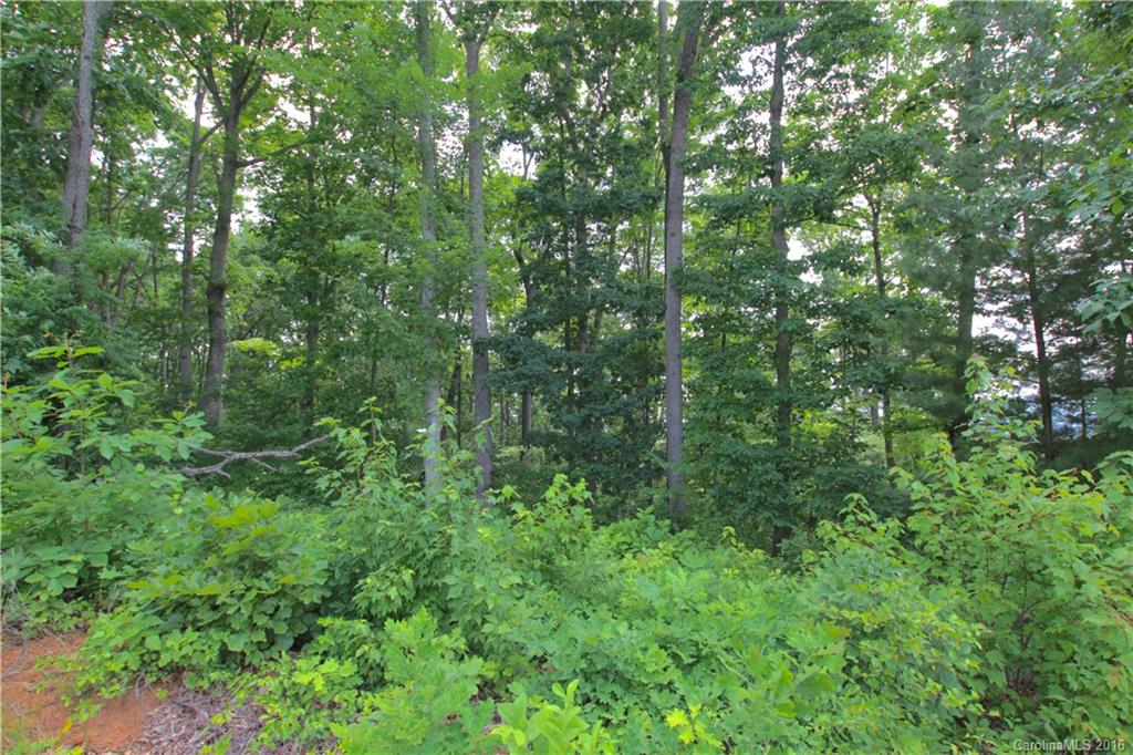 5 Samuel Ashe Drive Asheville NC 28805