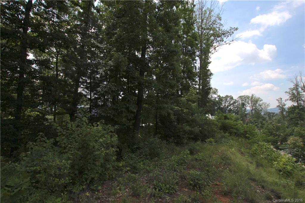 5 Samuel Ashe Drive Asheville NC 28805