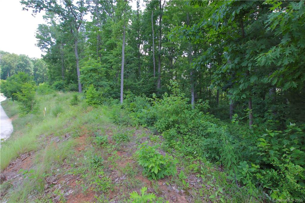 5 Samuel Ashe Drive Asheville NC 28805