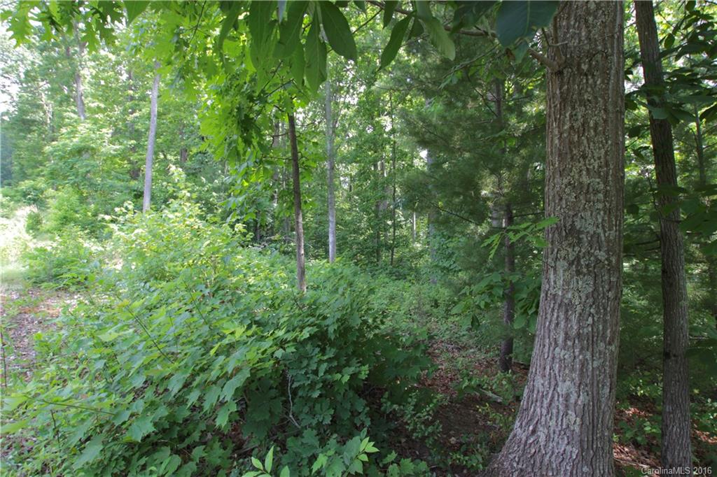 5 Samuel Ashe Drive Asheville NC 28805