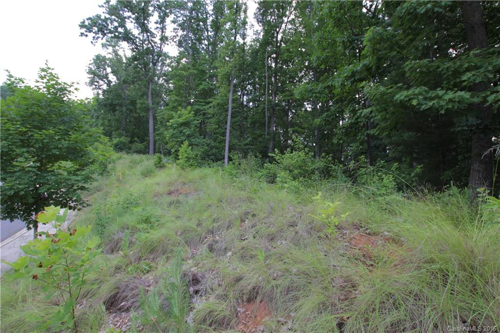 5 Samuel Ashe Drive Asheville NC 28805