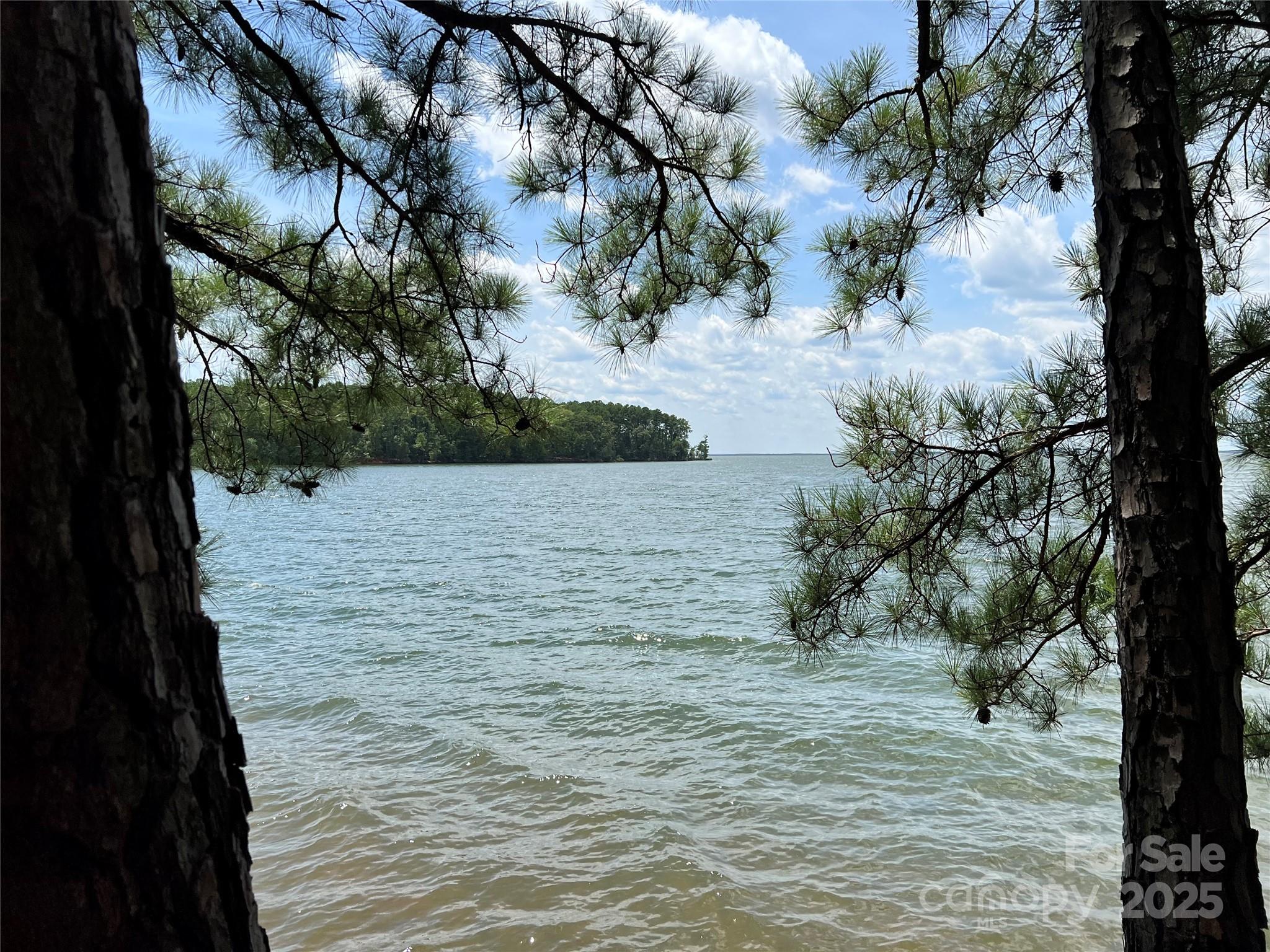 Lot 8 Sc Highway 215 South Jenkinsville SC 29065