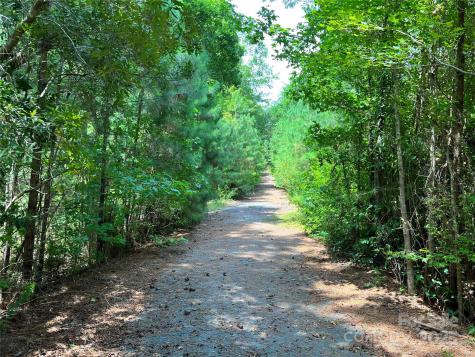 Lot 8 Sc Highway 215 South Jenkinsville SC 29065