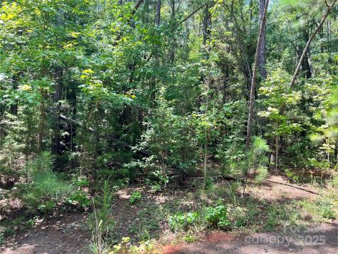 Lot 8 Sc Highway 215 South Jenkinsville SC 29065