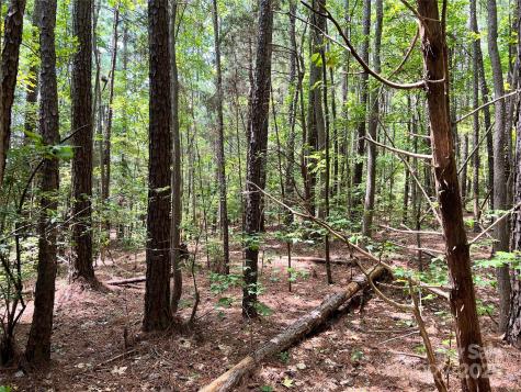 Lot 8 Sc Highway 215 South Jenkinsville SC 29065