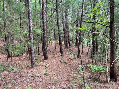 Lot 8 Sc Highway 215 South Jenkinsville SC 29065