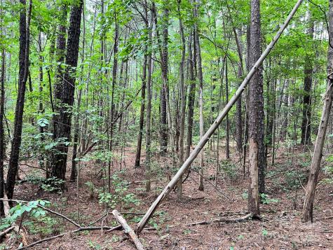 Lot 8 Sc Highway 215 South Jenkinsville SC 29065