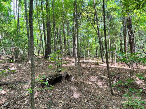 Lot 8 Sc Highway 215 South Jenkinsville SC 29065