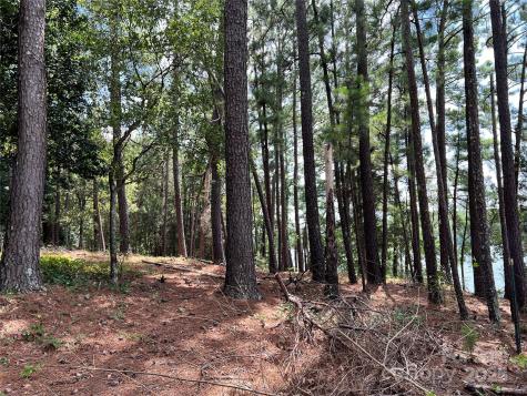 Lot 8 Sc Highway 215 South Jenkinsville SC 29065