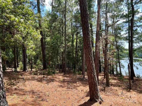 Lot 8 Sc Highway 215 South Jenkinsville SC 29065