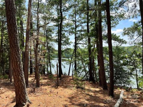 Lot 8 Sc Highway 215 South Jenkinsville SC 29065