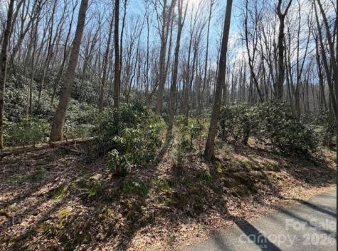 Tbd Coyote Hollow Road Waynesville NC 28785