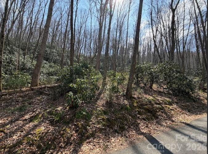 Tbd Coyote Hollow Road Waynesville NC 28785