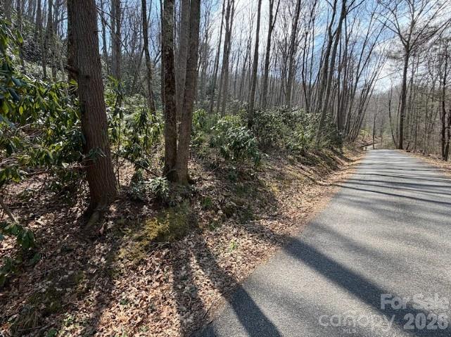Tbd Coyote Hollow Road Waynesville NC 28785