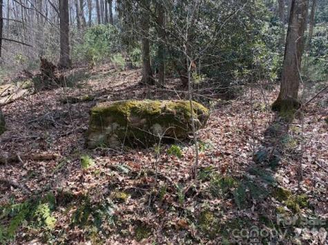 Tbd Coyote Hollow Road Waynesville NC 28785