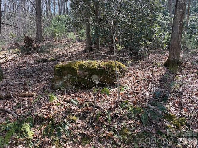 Tbd Coyote Hollow Road Waynesville NC 28785