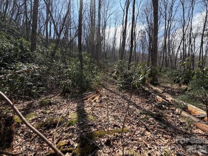 Tbd Coyote Hollow Road Waynesville NC 28785