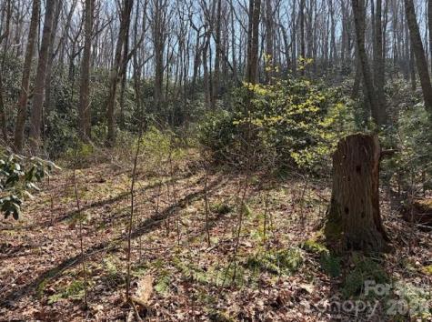 Tbd Coyote Hollow Road Waynesville NC 28785