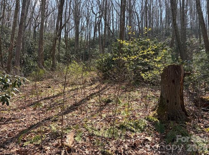 Tbd Coyote Hollow Road Waynesville NC 28785