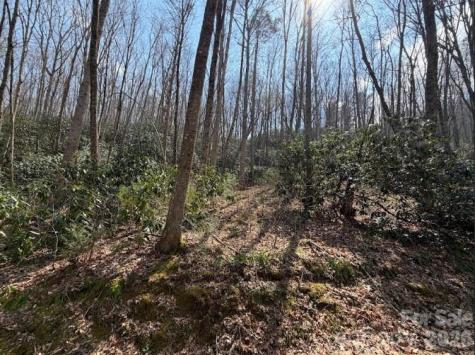 Tbd Coyote Hollow Road Waynesville NC 28785