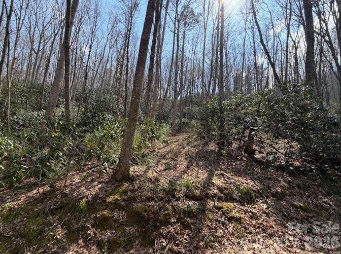 Tbd Coyote Hollow Road Waynesville NC 28785