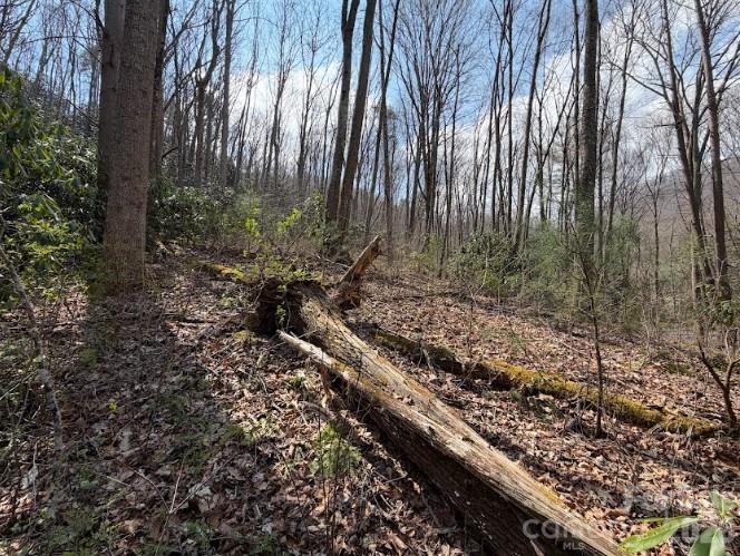 Tbd Coyote Hollow Road Waynesville NC 28785