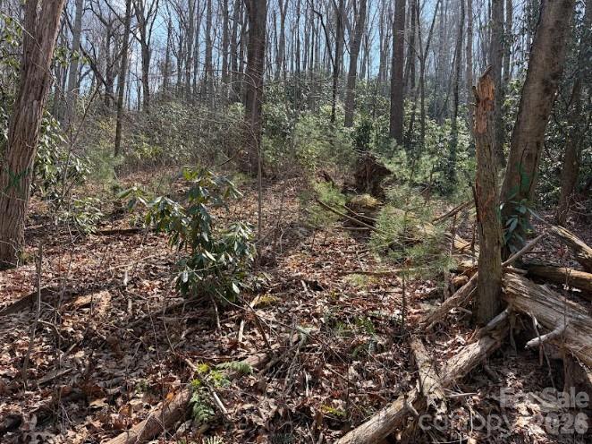 Tbd Coyote Hollow Road Waynesville NC 28785