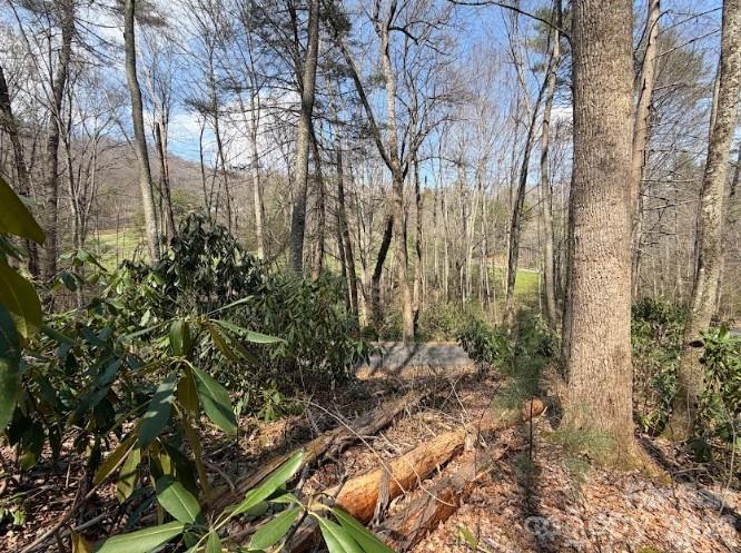 Tbd Coyote Hollow Road Waynesville NC 28785