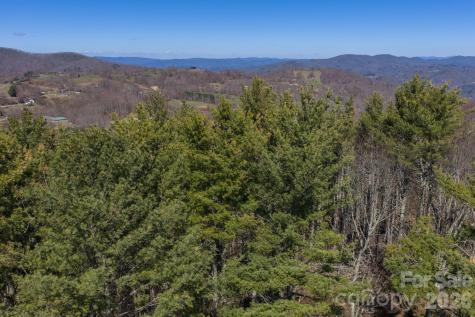 52 Clouds Rest Drive Elk Park NC 28622