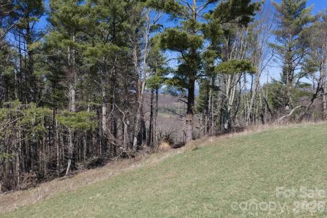 52 Clouds Rest Drive Elk Park NC 28622
