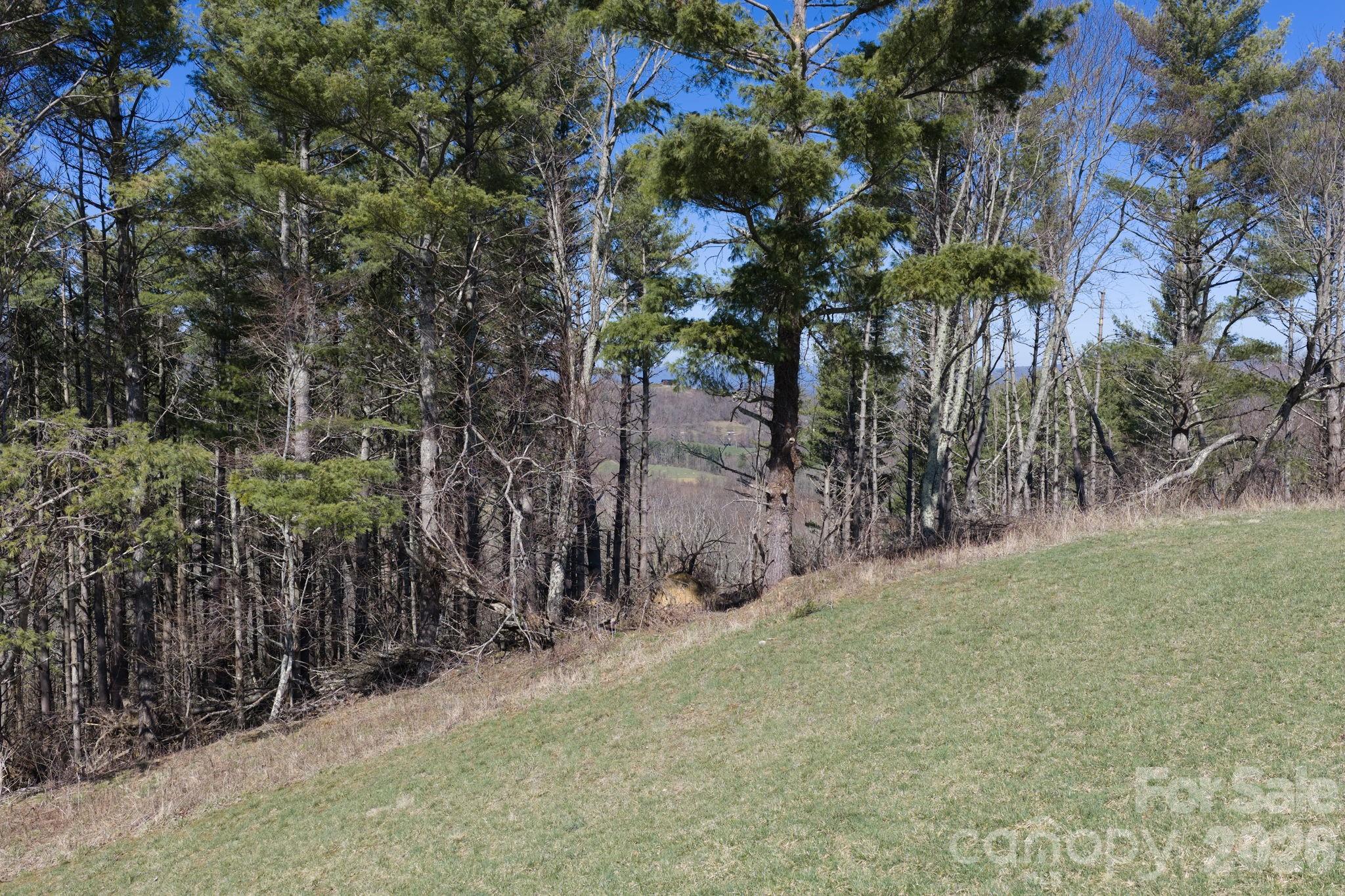 52 Clouds Rest Drive Elk Park NC 28622