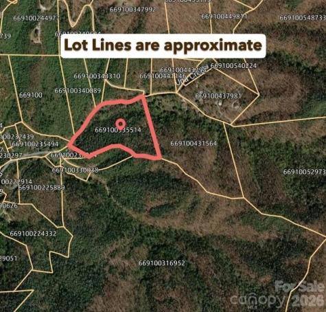 000 Unahala Creek Drive Bryson City NC 28713