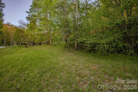 000 Unahala Creek Drive Bryson City NC 28713