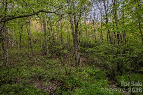 000 Unahala Creek Drive Bryson City NC 28713